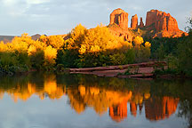 Autumn 2