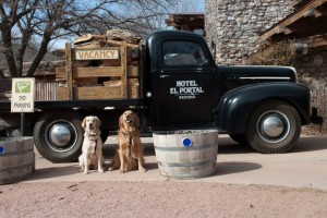 El Portal Sedona Hotel - Pet Friendly Sedona Hotel