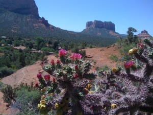 The surrounding beauty of Sedona and El Portal Sedona Hotel