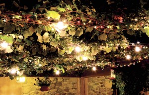 Twinkling Lights Entwined with Grape Vines of El Portal Sedona's Private Courtyard