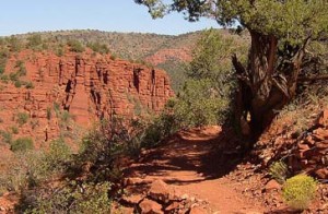 El Portal Sedona Hotel - Hiking in Sedona - Red Rock State Park
