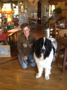 El Portal Sedona Hotel - A Pet Friendly Sedona Hotel