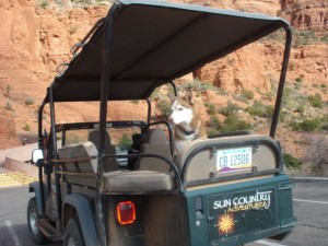 Pet Friendly Sedona Hotel Offers pet Friendly Jeep Tours of Sedona